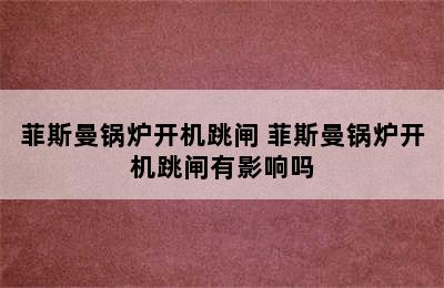 菲斯曼锅炉开机跳闸 菲斯曼锅炉开机跳闸有影响吗